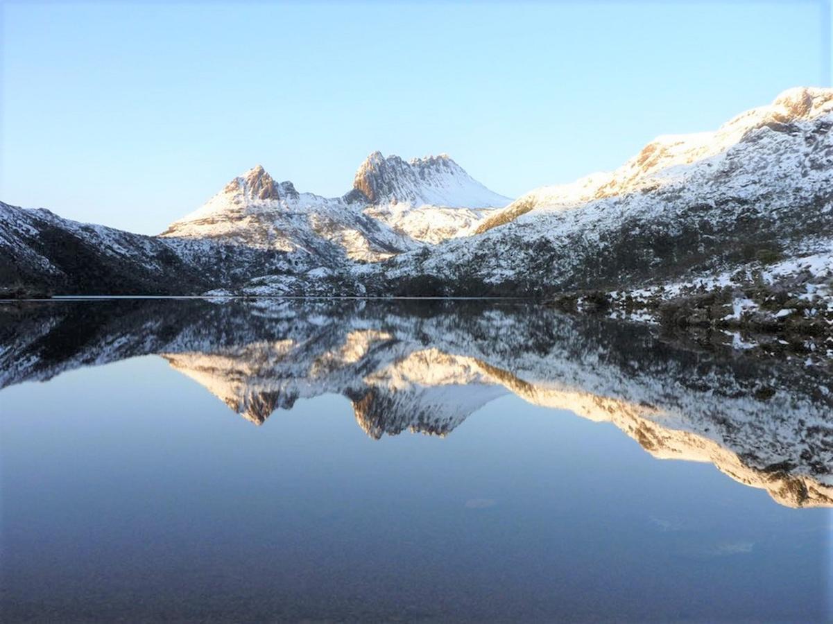 Cradle Alpine Retreat Bed & Breakfast Moina Dış mekan fotoğraf